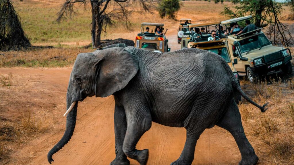 Ways International Travelers Save Money While Touring